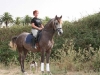 urlaub_06 213